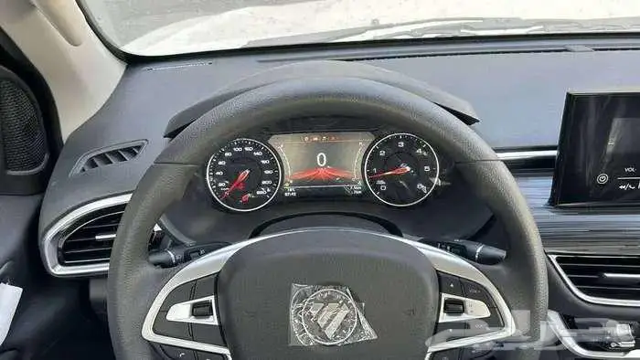 فوتون غمارة جوانب 2026 ديزل عروض للافرد والمؤسسات 6