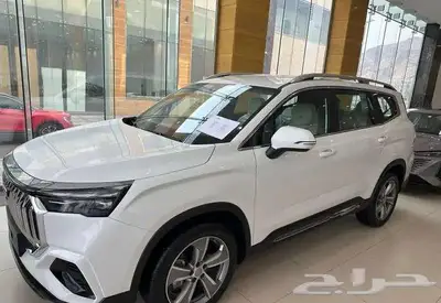 جيلى اوكافانجو 2025-(كاش -تقسيط جميع البنوك) index