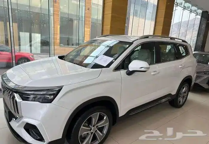 جيلى اوكافانجو 2025-(كاش -تقسيط جميع البنوك) 1