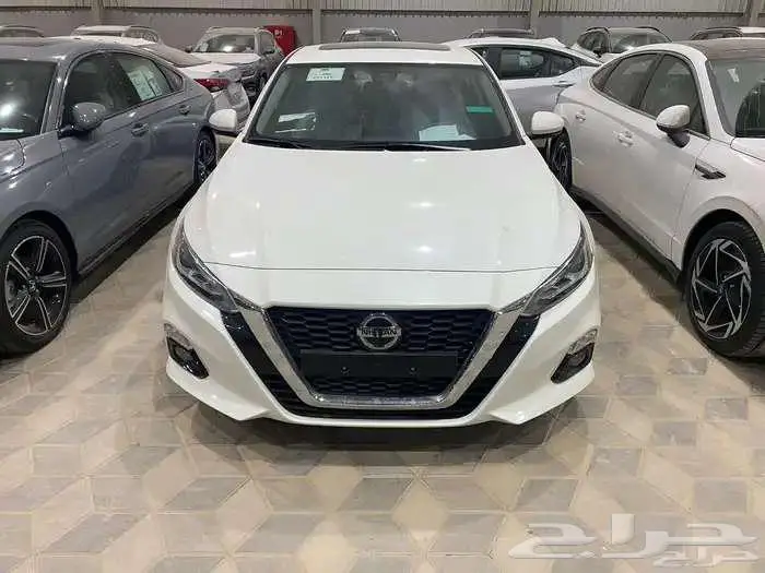 نسيان التيما 11