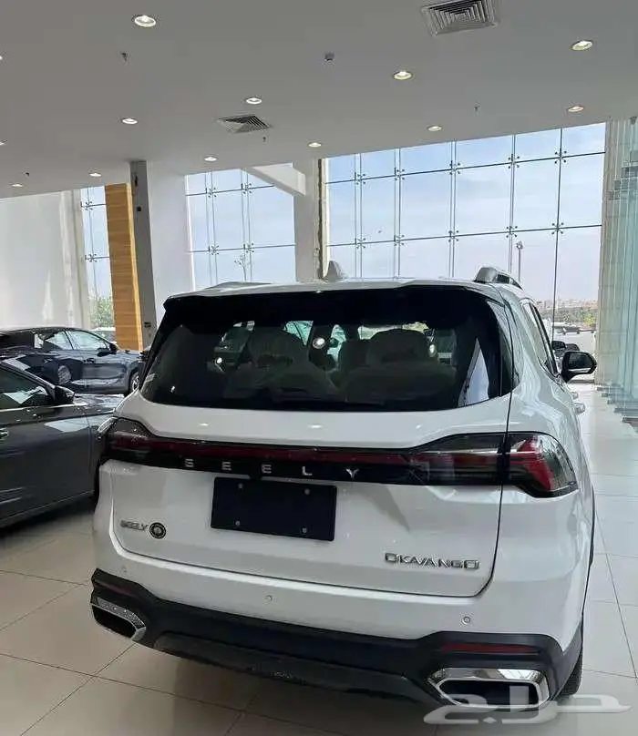 جيلى اوكافانجو 2025-(كاش -تقسيط جميع البنوك) 3