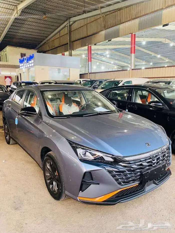 دونج فينج شاين اي 2 نص فل 2025 ( كاش - اقساط ) 39