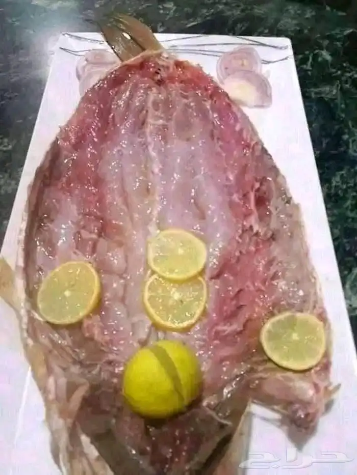 فسيخ نبروه وصل من مصر ورنجه درجة اولي 0