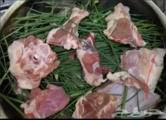 مرخ طازج للبيع 0