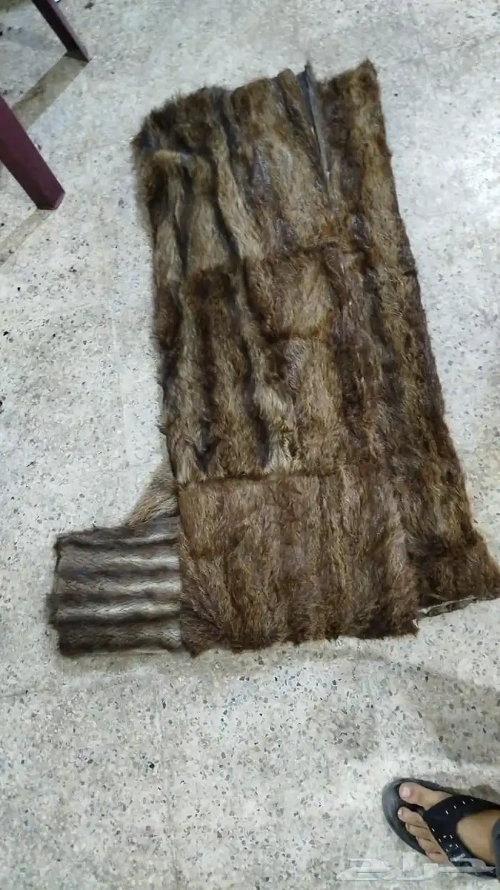 فروة فراوي فرواة طفيلي وطبيعي وصناعي جملة الجملة 26