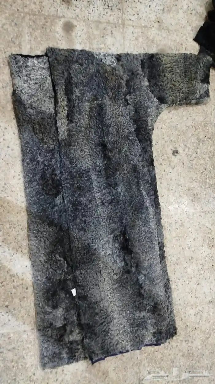 فروة فراوي فرواة طفيلي وطبيعي وصناعي جملة الجملة 38