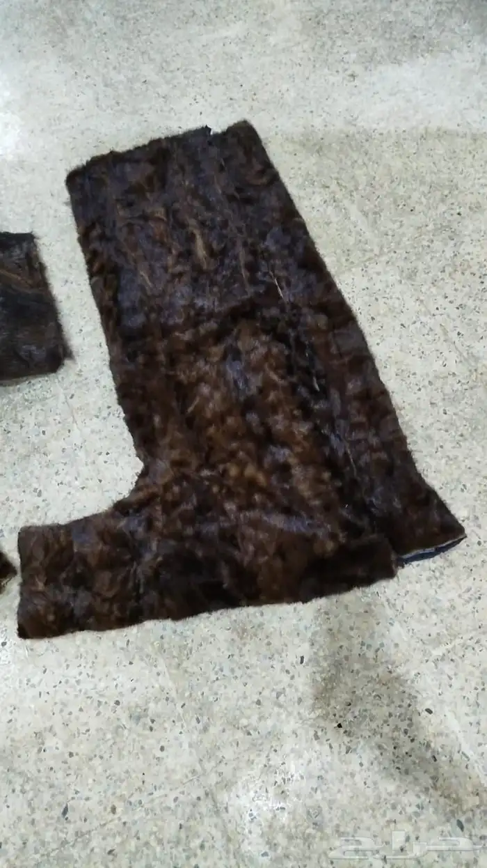 فروة فراوي فرواة طفيلي وطبيعي وصناعي جملة الجملة 24