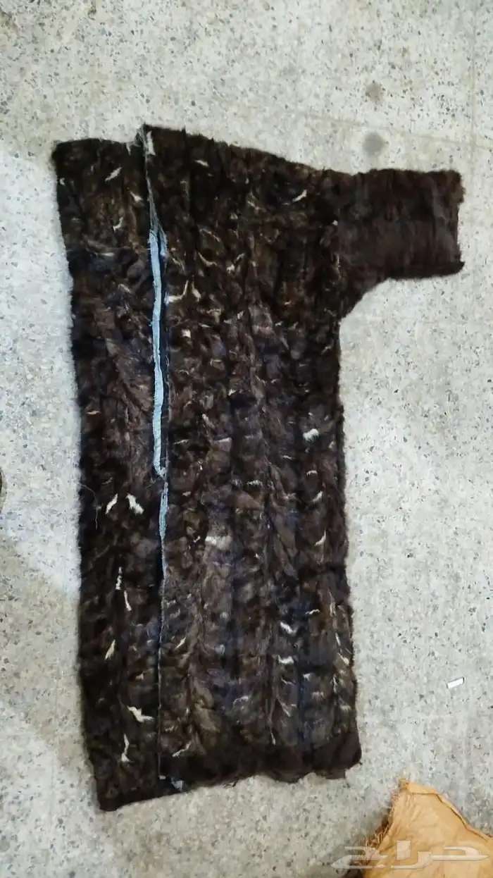 فروة فراوي فرواة طفيلي وطبيعي وصناعي جملة الجملة 17