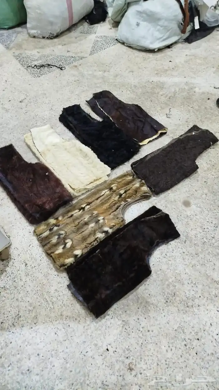 فروة فراوي فرواة طفيلي وطبيعي وصناعي جملة الجملة 29