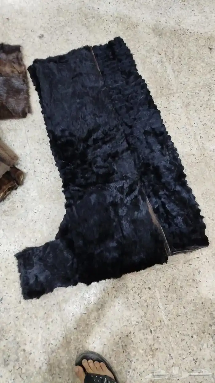 فروة فراوي فرواة طفيلي وطبيعي وصناعي جملة الجملة 32