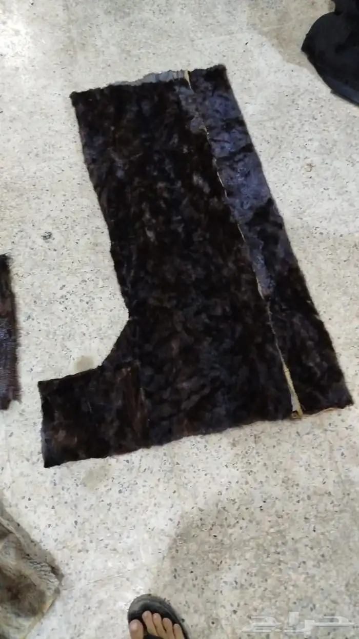 فروة فراوي فرواة طفيلي وطبيعي وصناعي جملة الجملة 34