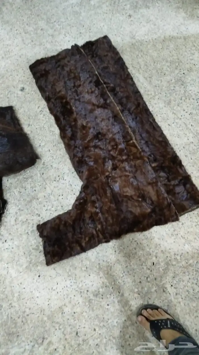 فروة فراوي فرواة طفيلي وطبيعي وصناعي جملة الجملة 27