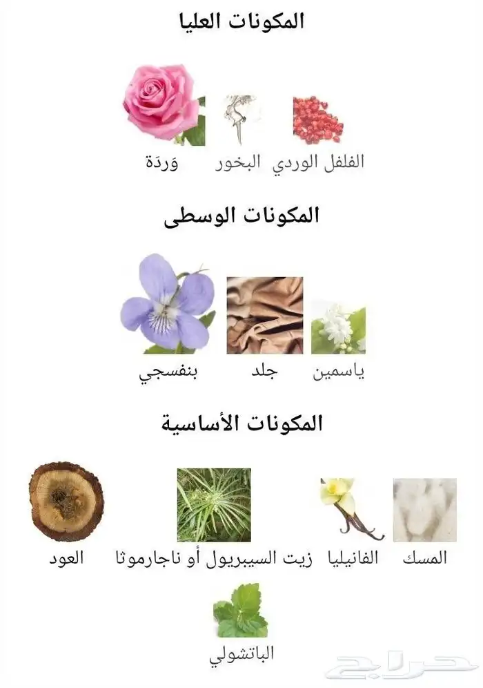 عطر ستاليون سول من اوجار 2