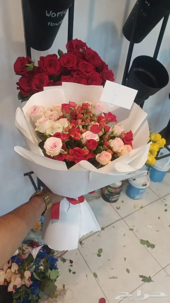 مطلوب منسق ورود وكوشات 1