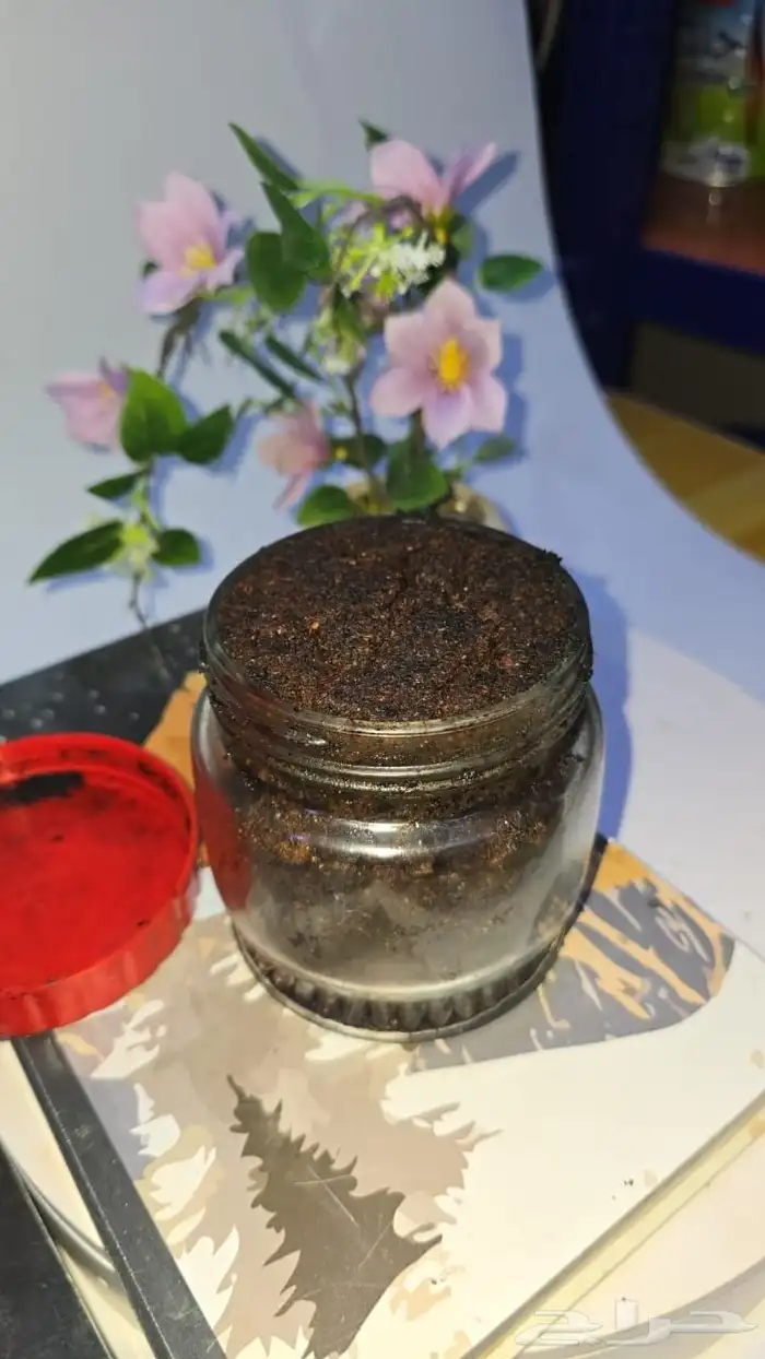 بخور دوسري جمله 0