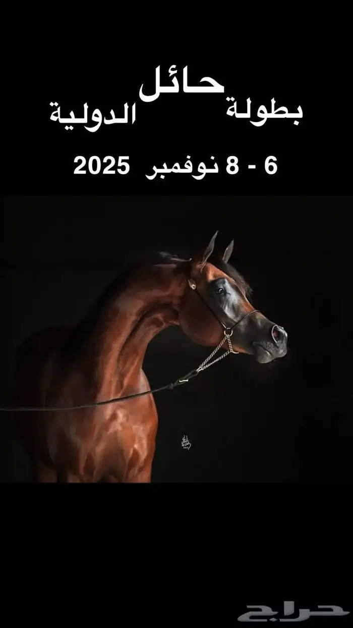 مطلوب مطلوب مطلوب حصان واهو جبر سليم اوشعبي طيب 0