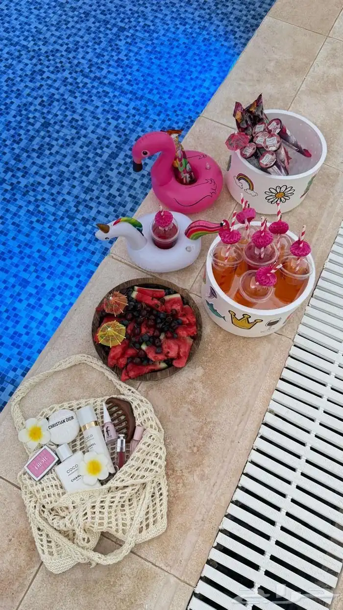 شاليه ناش الفندقي 19