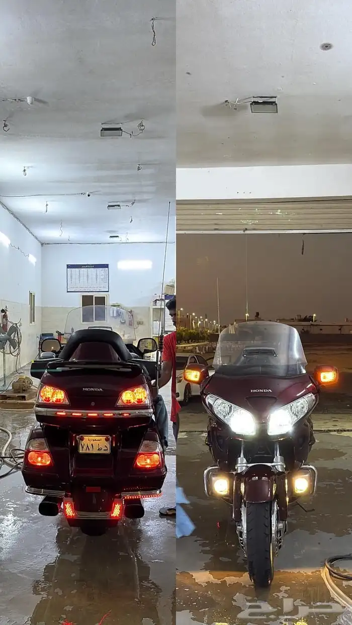 قولد وينق 2008 4