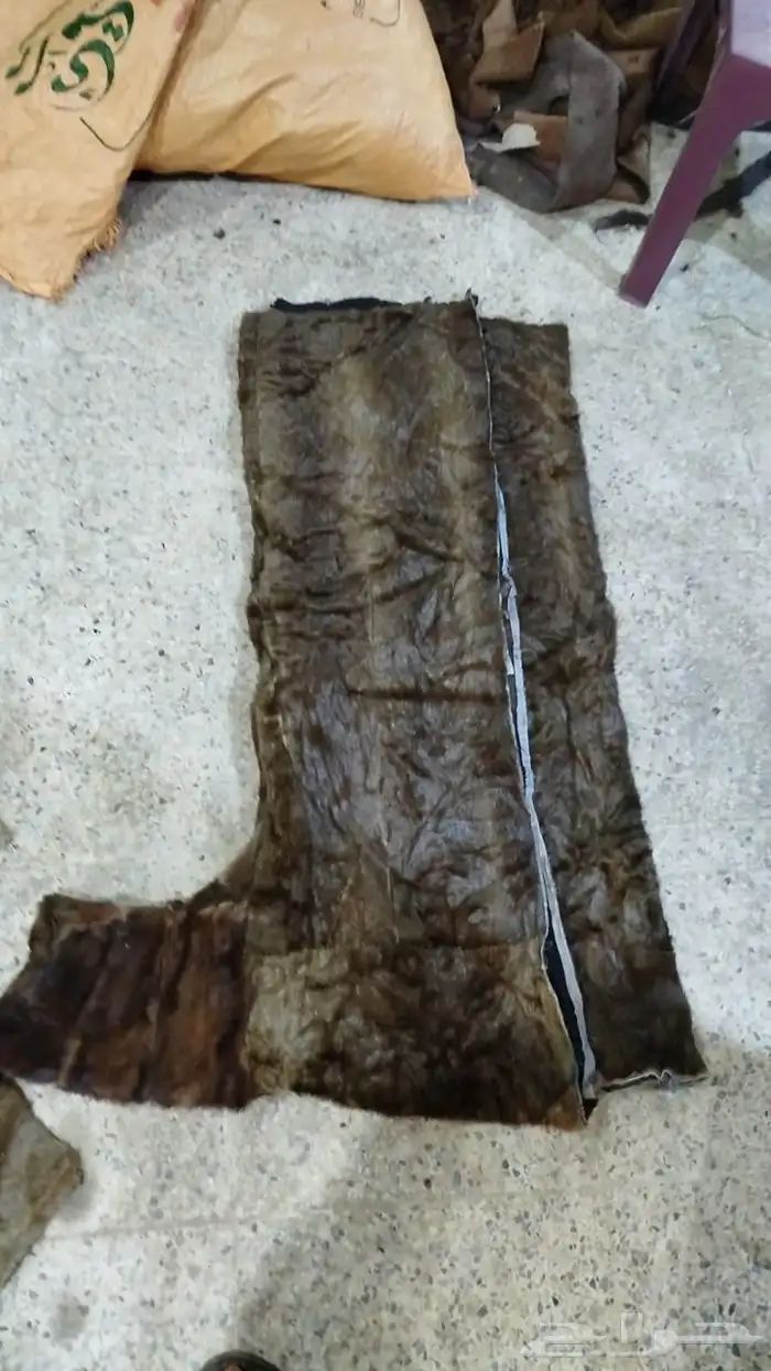 فروة فراوي فرواة طفيلي وطبيعي وصناعي جملة الجملة 18