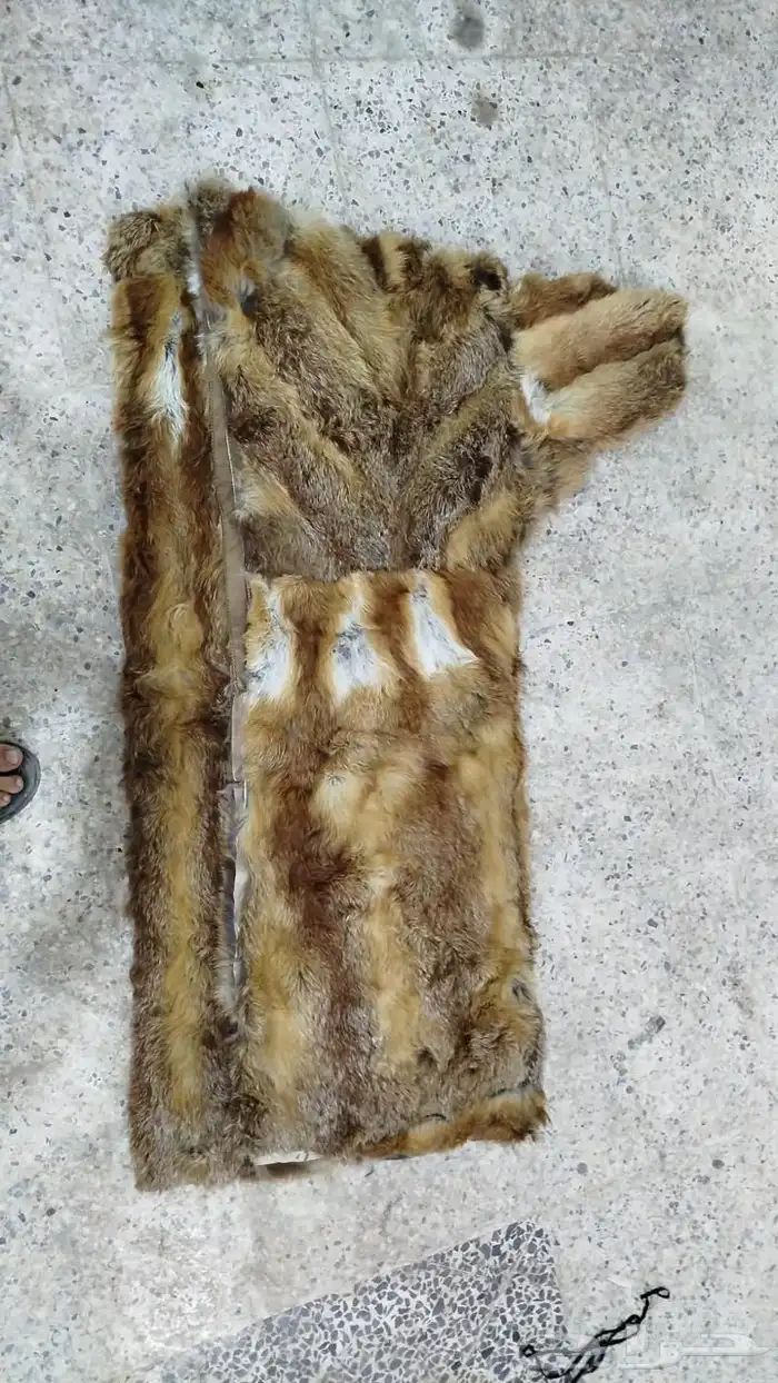 فروة فراوي فرواة طفيلي وطبيعي وصناعي جملة الجملة 8