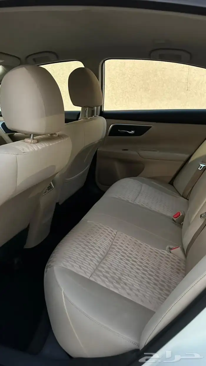 التيما 2017 11