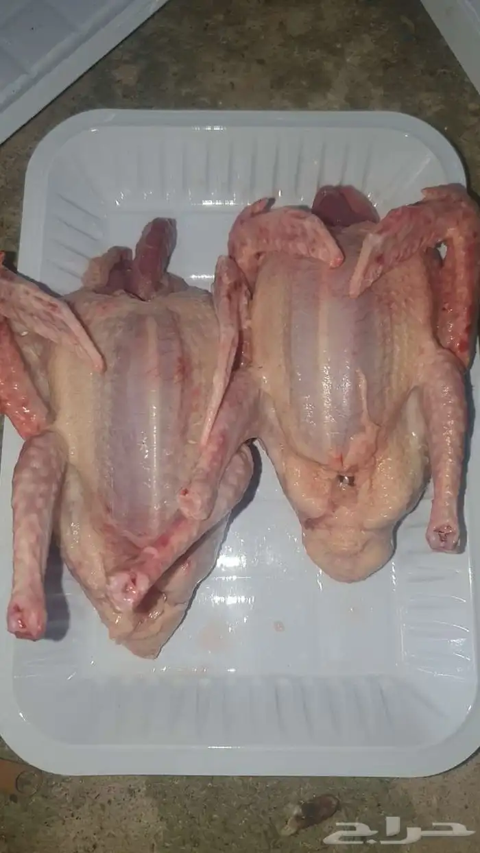 زغاليل شحم 2