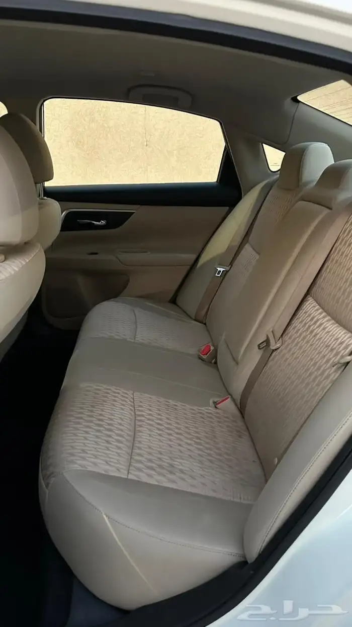 التيما 2017 12