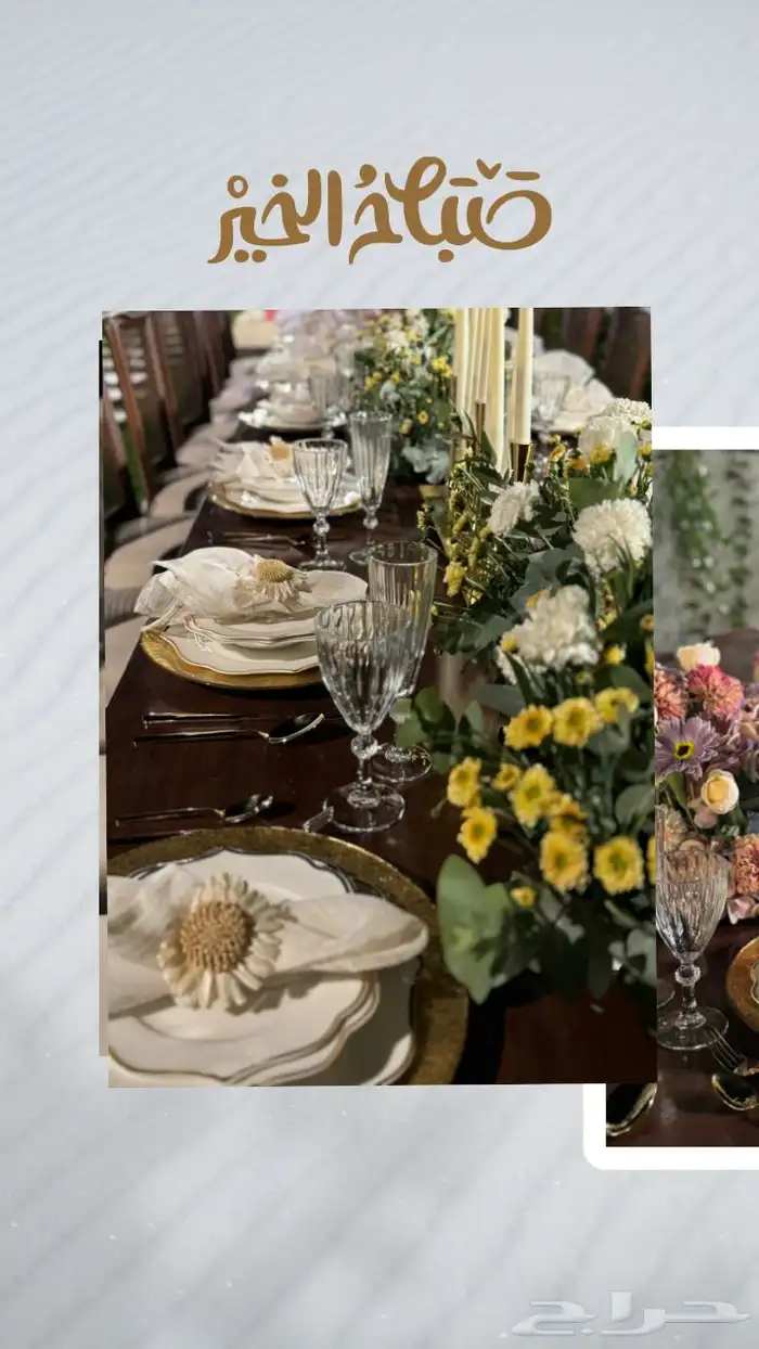 تنسيق حفلات 6