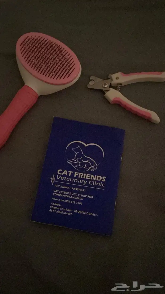 قطه للبيع أنثى نظيفه ومطعمه كل تطعيماتها مع اغراضها 2