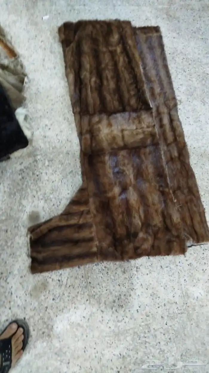 فروة فراوي فرواة طفيلي وطبيعي وصناعي جملة الجملة 9