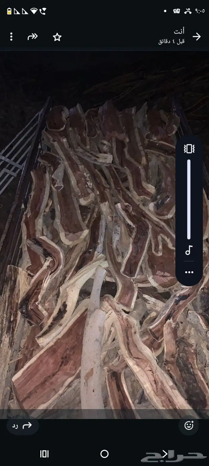 يوجد حطب صندوق دنا 1