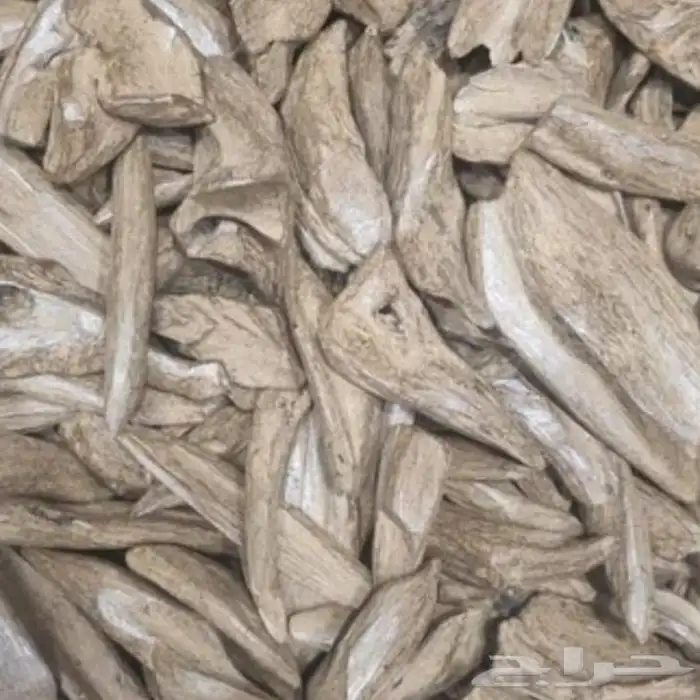 جميع انواع العود ولبخور ولعطور 3