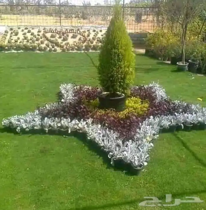 تيل طبيعي مشتل زراع طبيعي 0