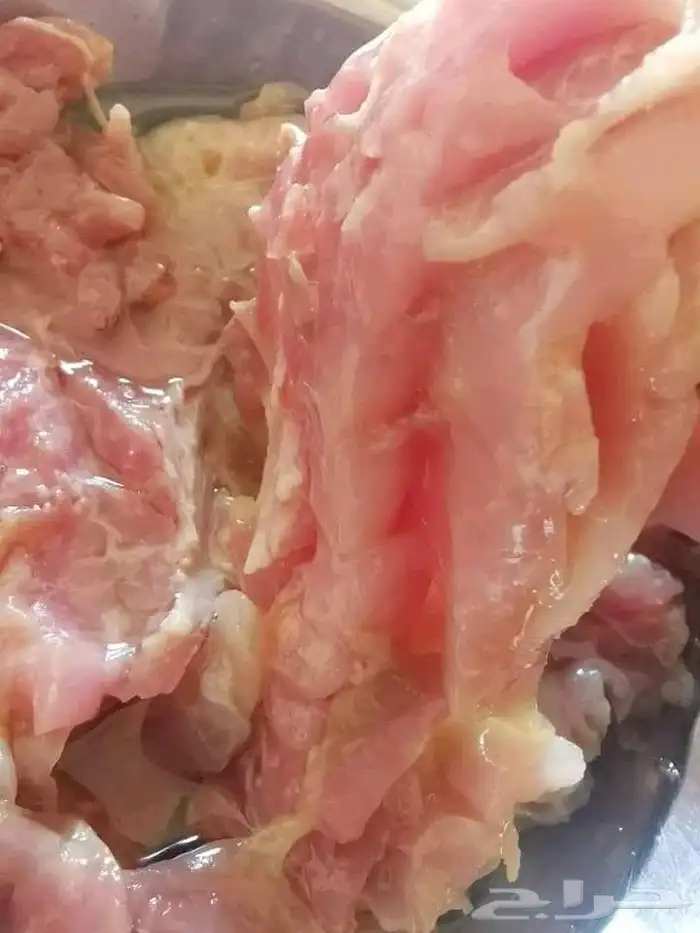 فسيخ نبروه وصل من مصر ورنجه درجة اولي 7