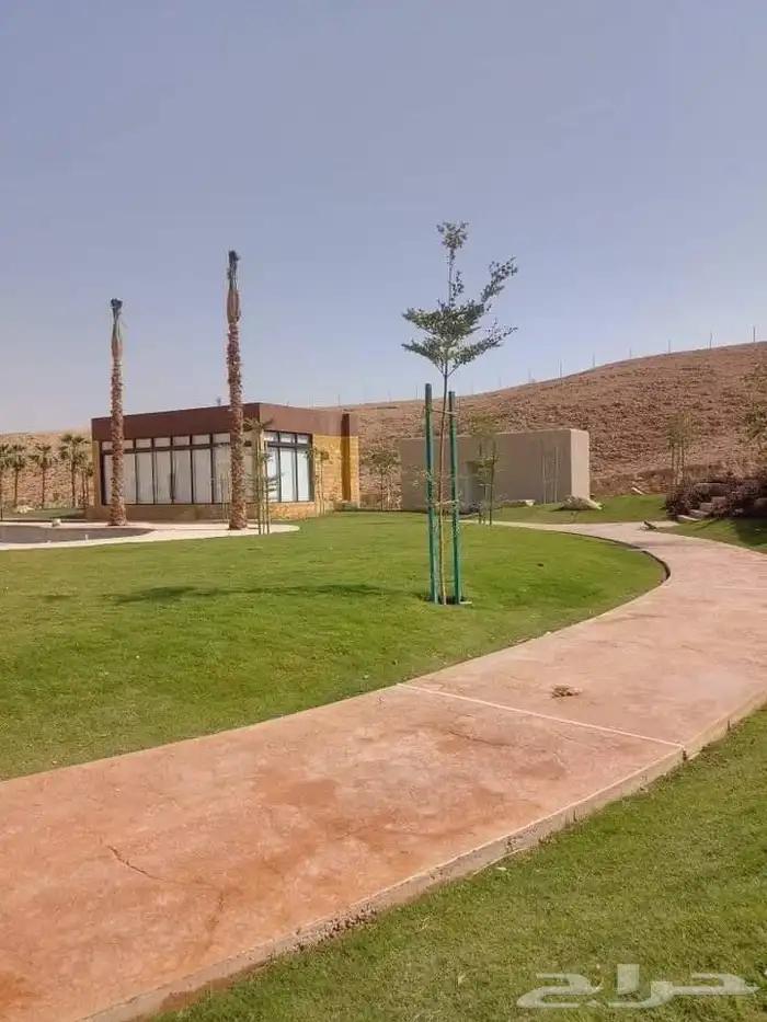 صيبه ميزنه صيبه ميتبع صيبه ديكورت 8