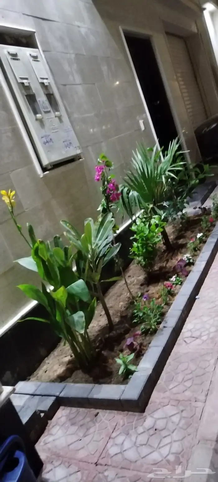 مشتل بيع الزهور والشتلات الزراعيه بجميع انواعها مع الصيانه ا 6