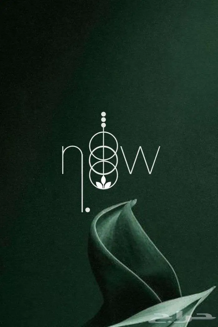 مصمم جرافيك ومطور مواقع 0