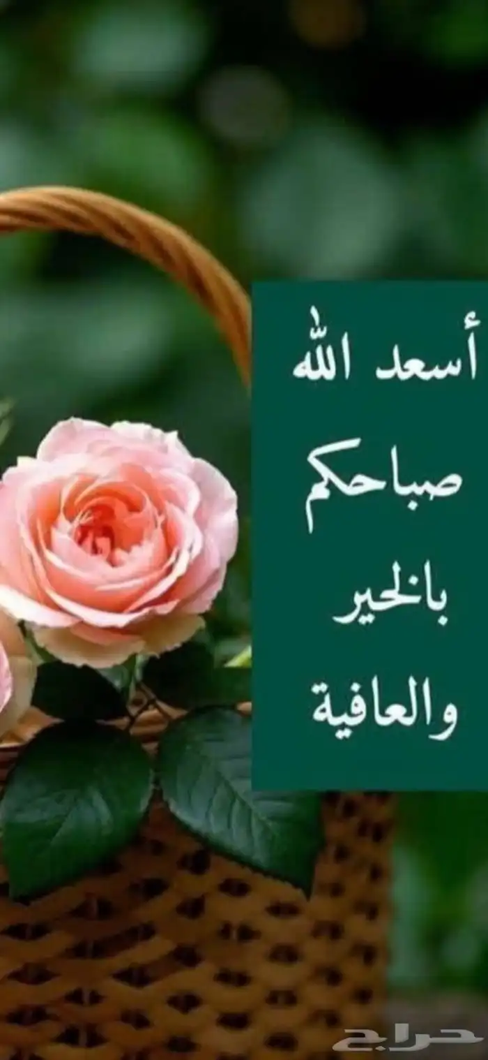 اريد غرفه سايق للايجار حي المصيف او حي الملك فهد 0