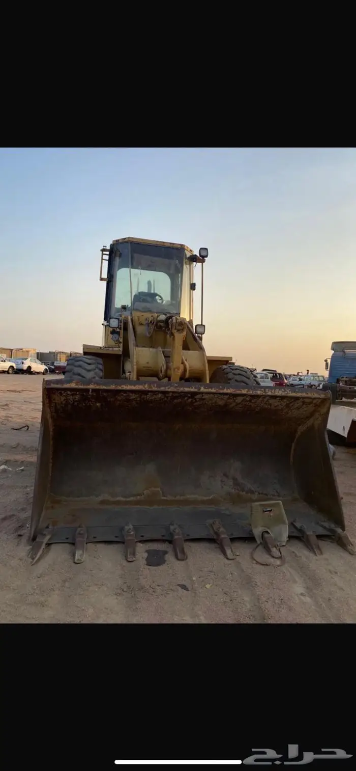 شيول 924F وجي سي بي البيع جماله 2