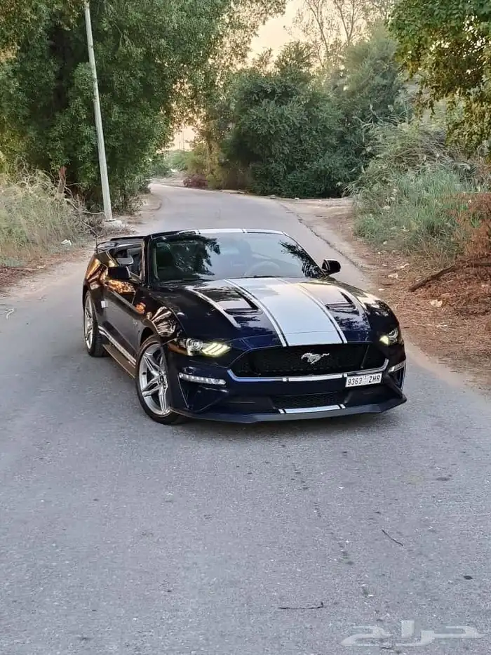 موستنج 2020 V8 كشف 0