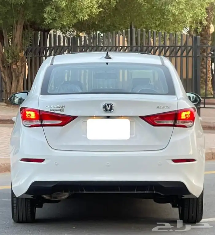 شانجان السفن 2025 فل كامل سعودي 2