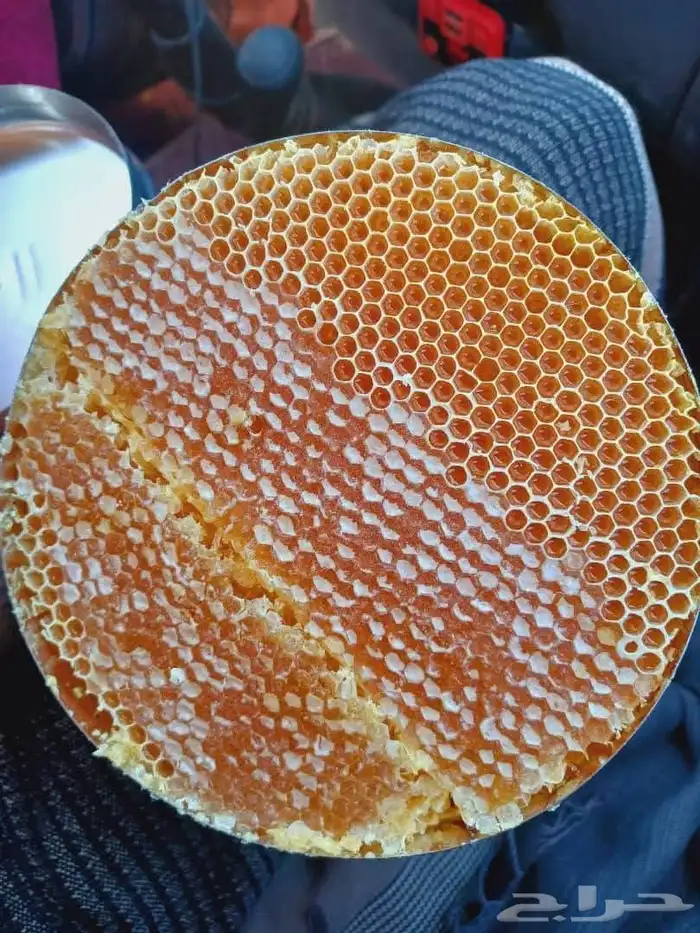 عسل سدر رقم واحد (علاج الي يبغا علاج ياخذ ) كميه محدوده 0