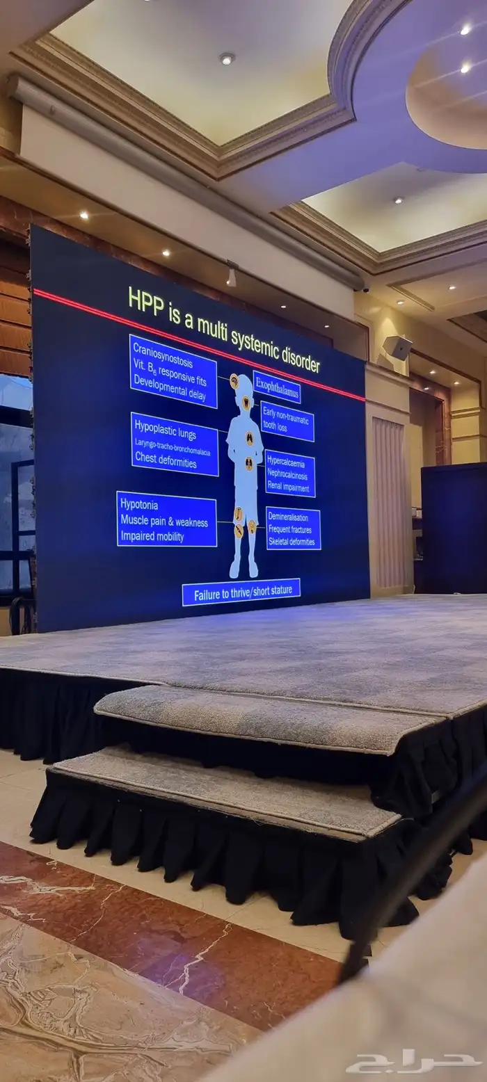 تأجير شاشات عرض عملاقة 8