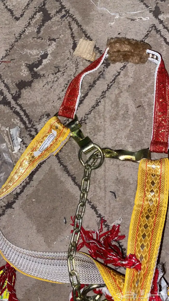 رسن جمل   مظهر جميل   حديد 1