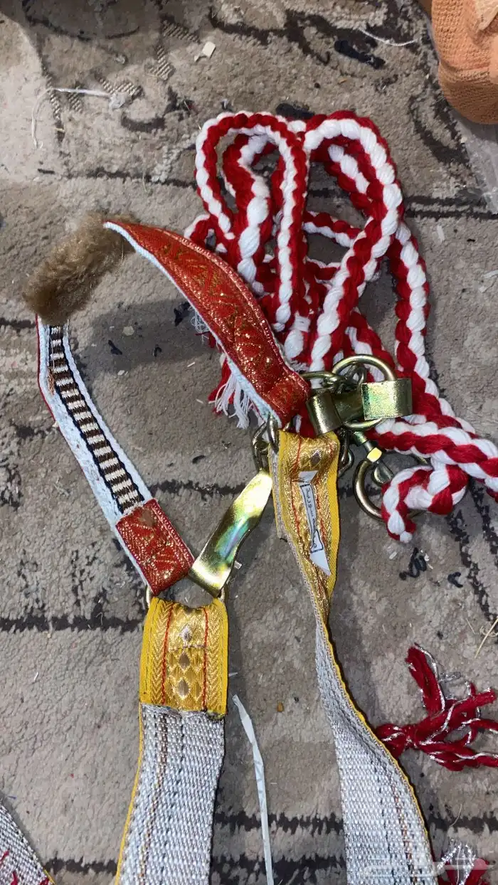 رسن جمل   مظهر جميل   حديد 0