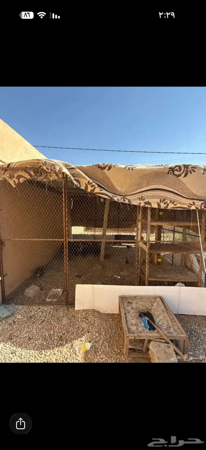 شبك للبيع كبير 0