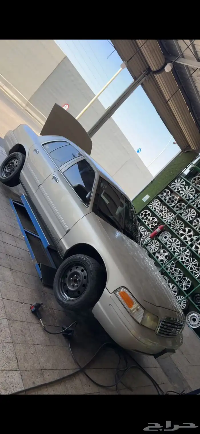 جنوط بوليسي 1