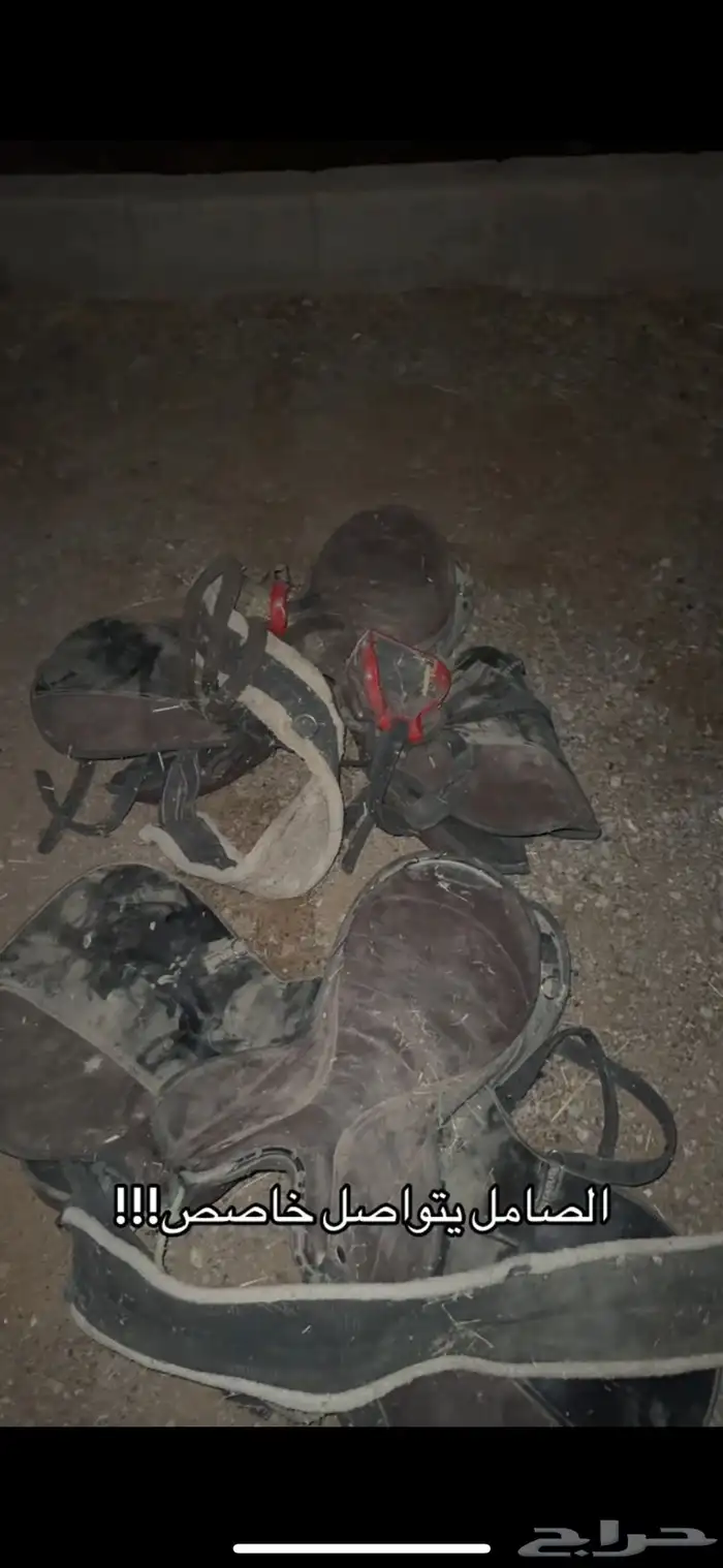 سروج استيتوس اموره جيده 0