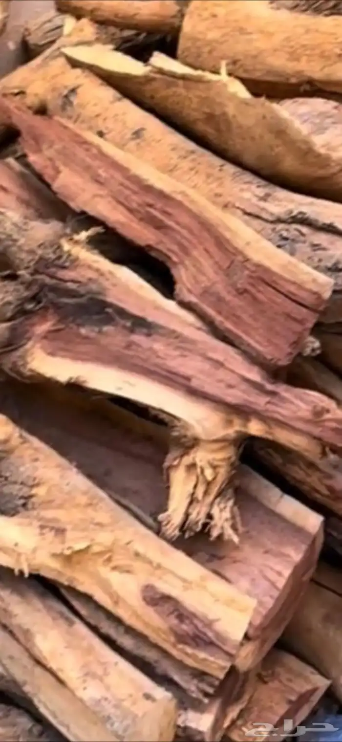 حطب مستورد شرط ف الرياض 2