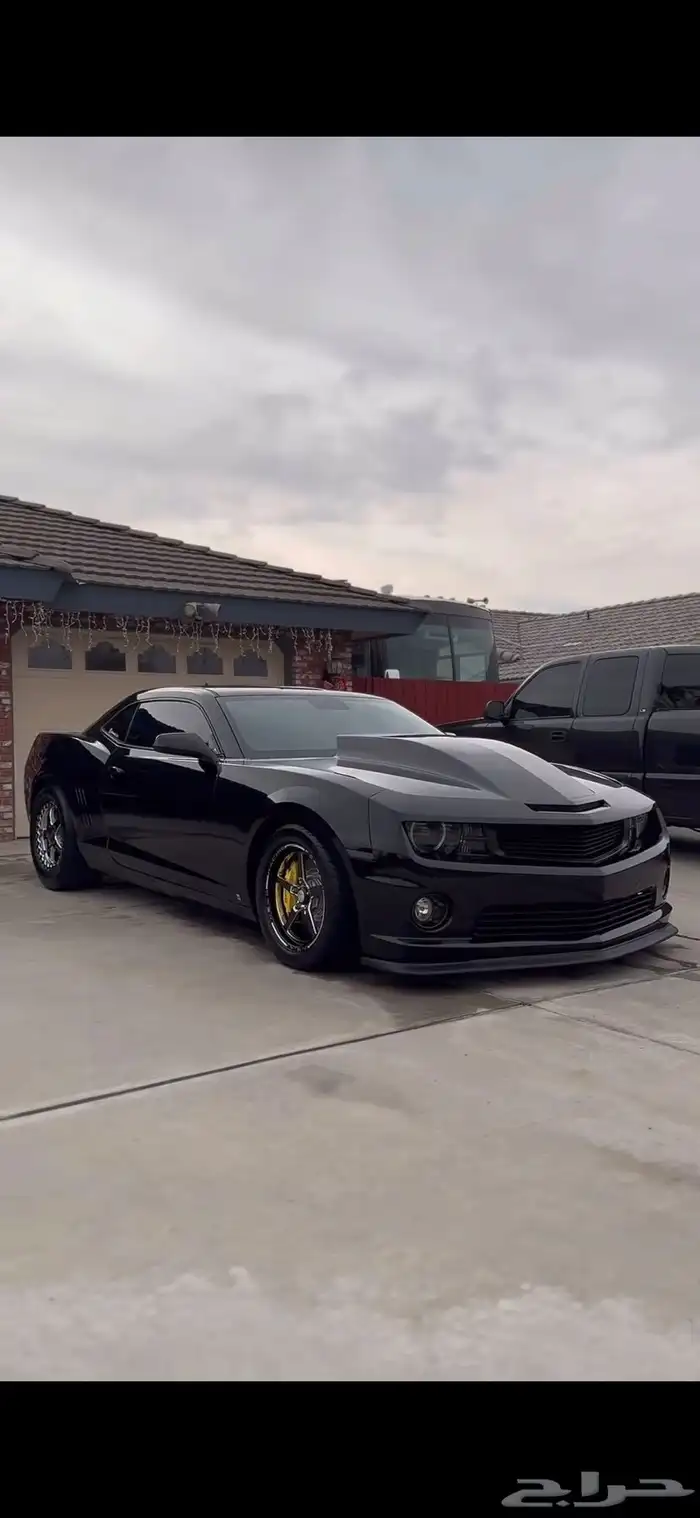 كبوت كمارو 2010 2